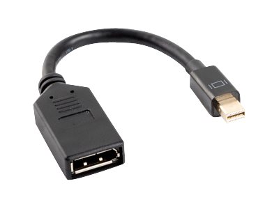 Lanberg - DisplayPort adapter - Mini DisplayPort han til DisplayPort hun - 12 cm