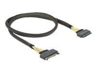 DeLOCK Serial Attached SCSI (SAS) internt kabel Sort 1m
