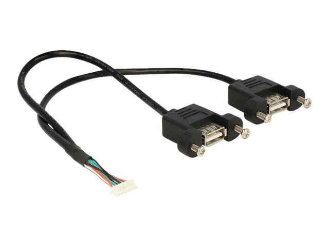 Delock USB intern til ekstern kabel 25cm Sort