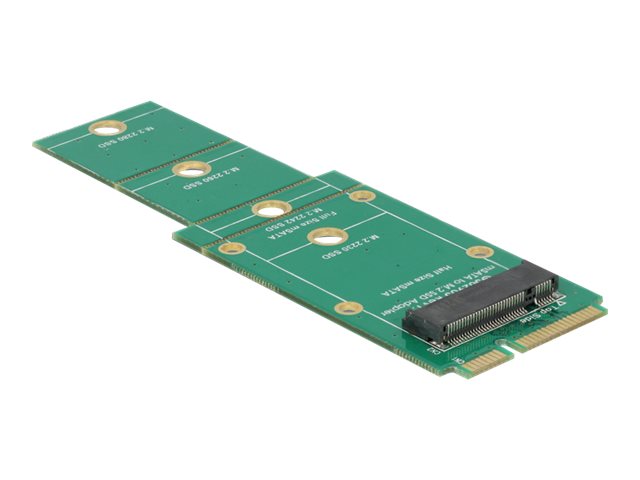DeLOCK M.2 SATA til mSATA adapter - Tilslut M.2 SATA (NGFF) SSD til en