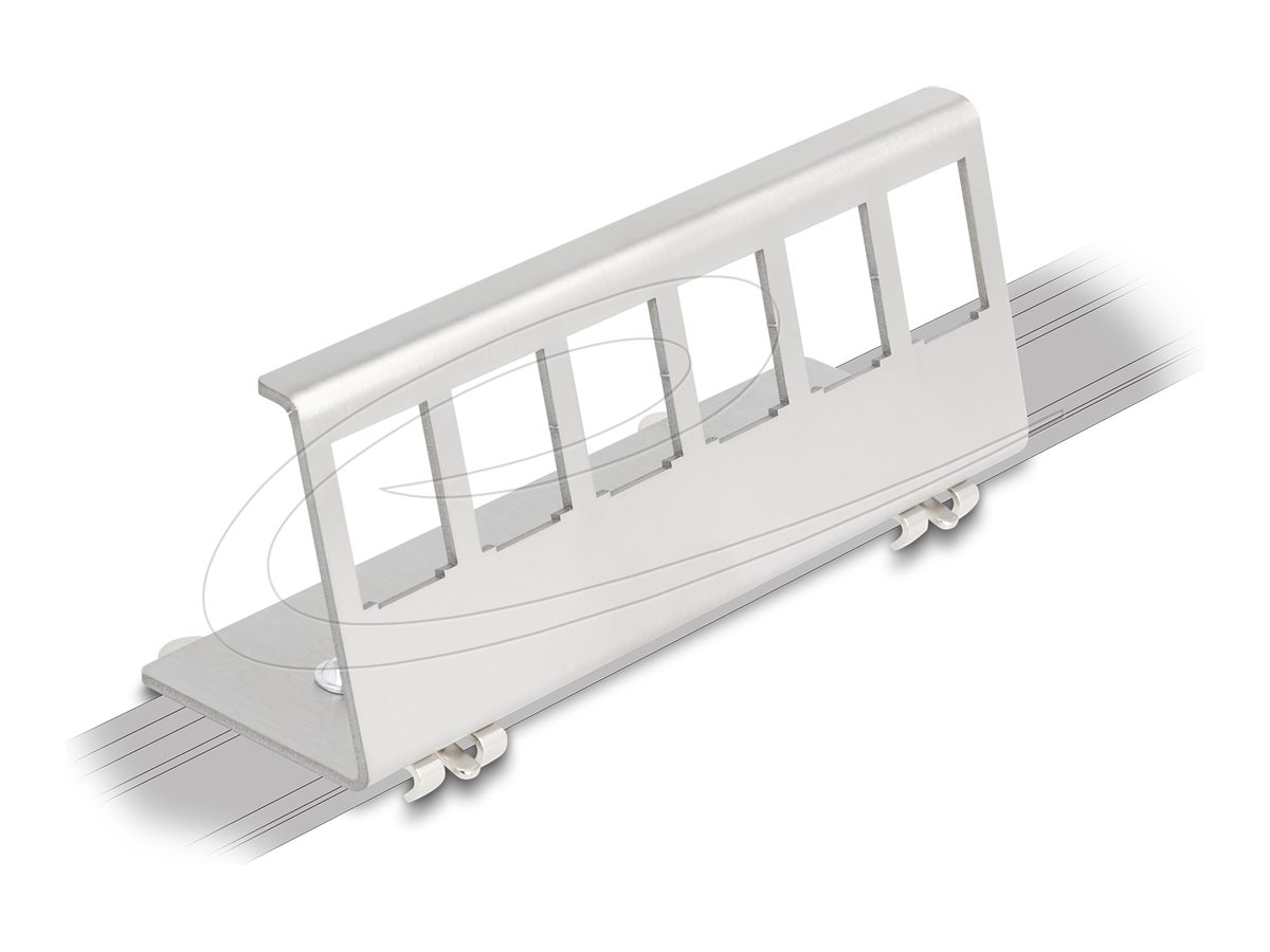 DeLOCK Keystone DIN skinne monteringsadapter Sølv
