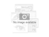 WatchGuard Basic Security Suite Online & komponentbaserede tjenester 1 apparat 3 år