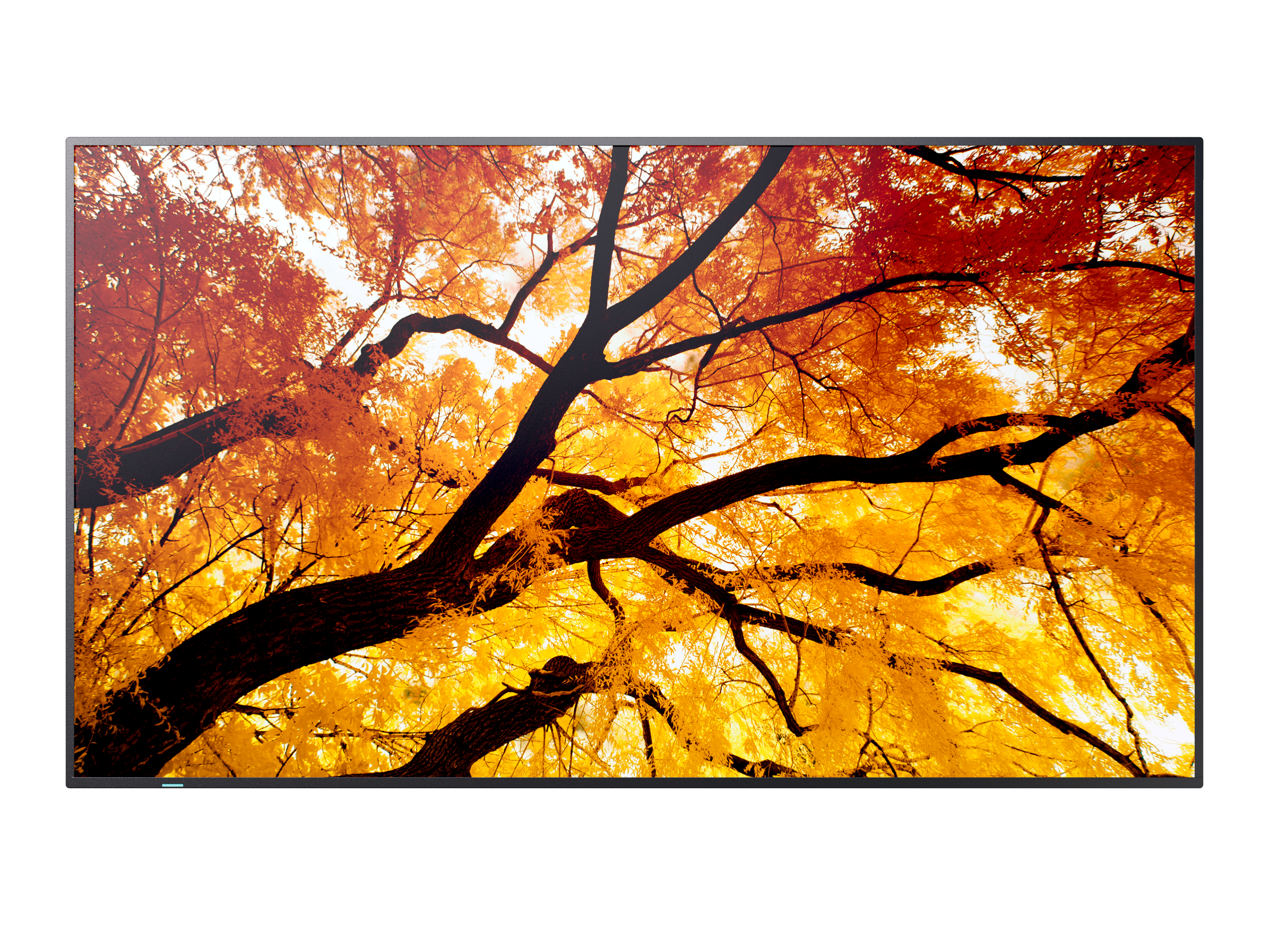 Sharp MultiSync M502 Digital fladpaneldisplay 127 cm (50") LCD 550 cd/m² 4K Ultra HD Sort 24/7 billede