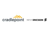 Cradlepoint NetCloud Enterprise Branch Essentials + Advanced Plan Online & komponentbaserede tjenester 1 år