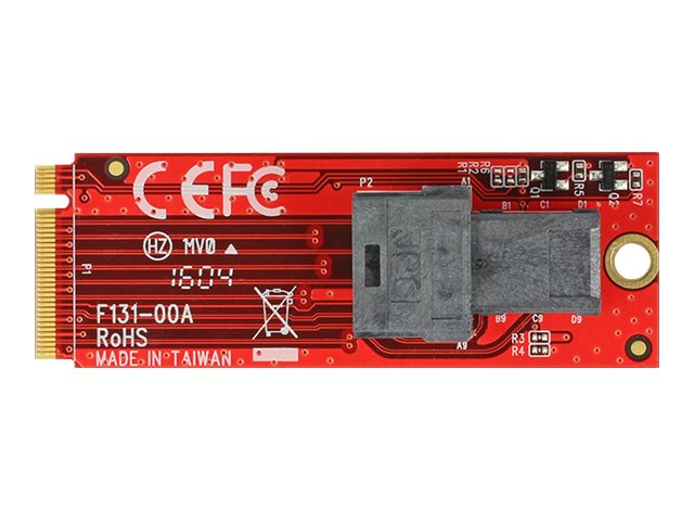 DeLOCK - Interface Adapter - SAS 12Gb/s - M.2 Card