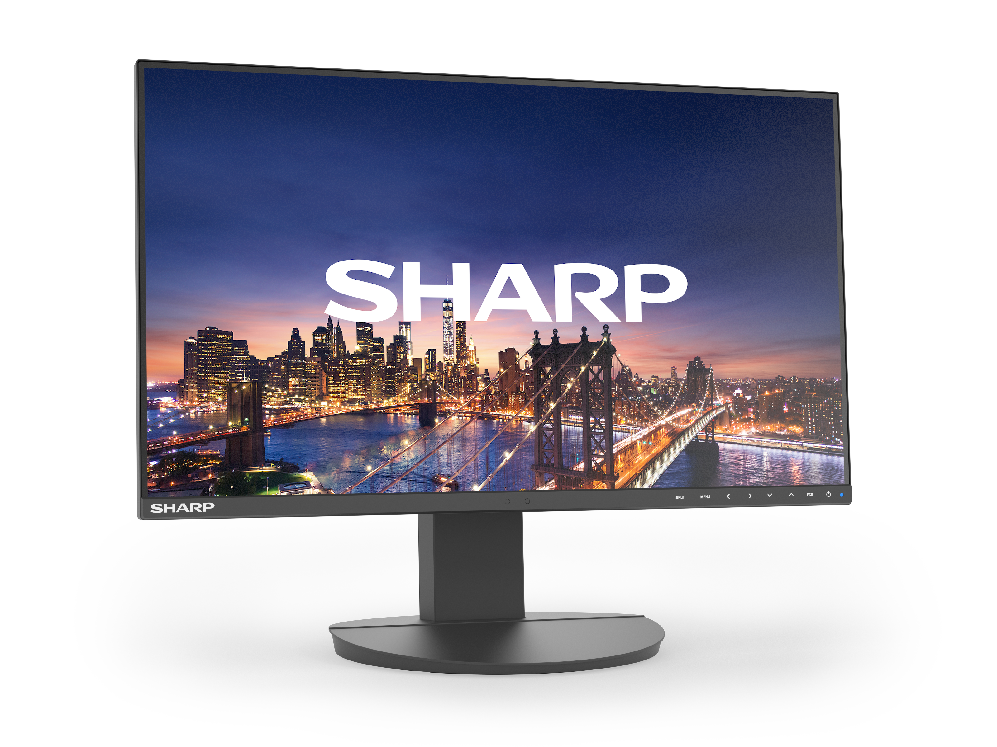 Sharp MultiSync EA242F computerskærm 61 cm (24") 1920 x 1080 pixel Fuld HD LCD Sort