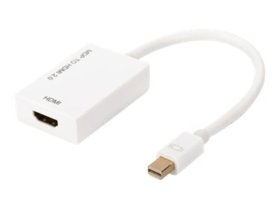 ASSMANN Videoadapter DisplayPort / HDMI 20cm Hvid billede