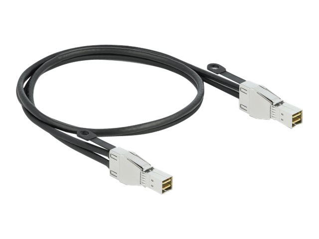 DeLOCK Serial Attached SCSI (SAS) eksternt kabel Sort 1m
