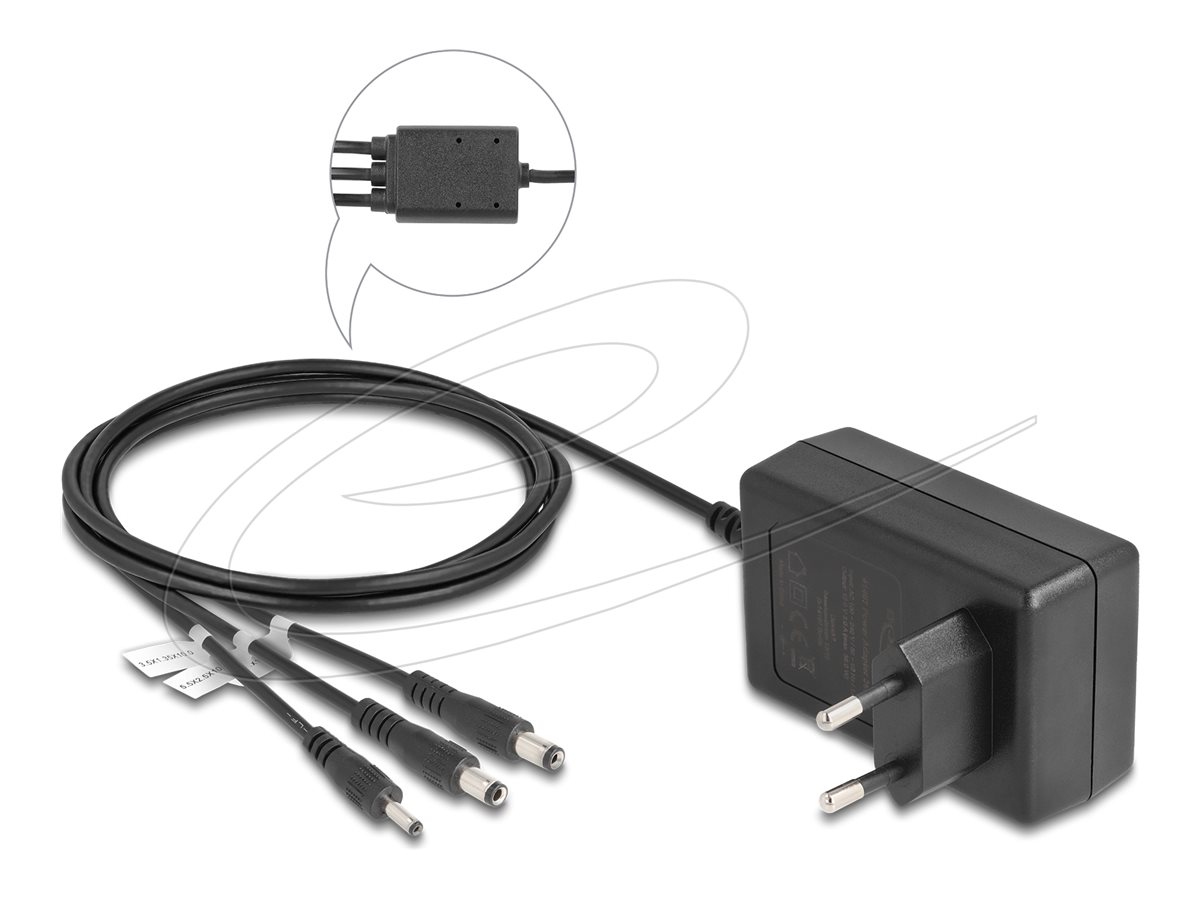 Delock Adapter 12V