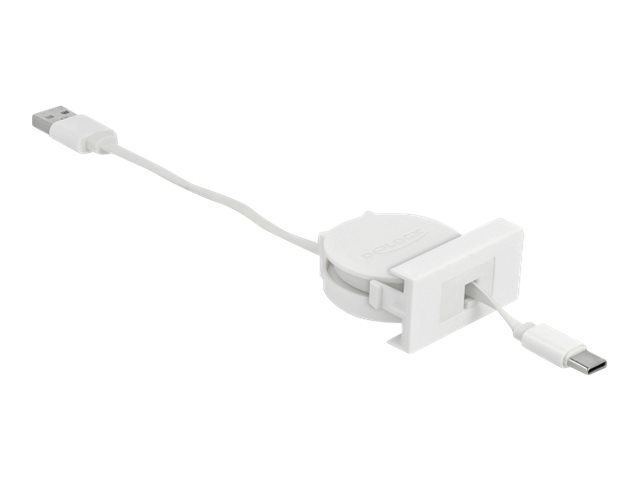 DeLOCK Easy USB 2.0 USB Type-C kabel 50cm Hvid