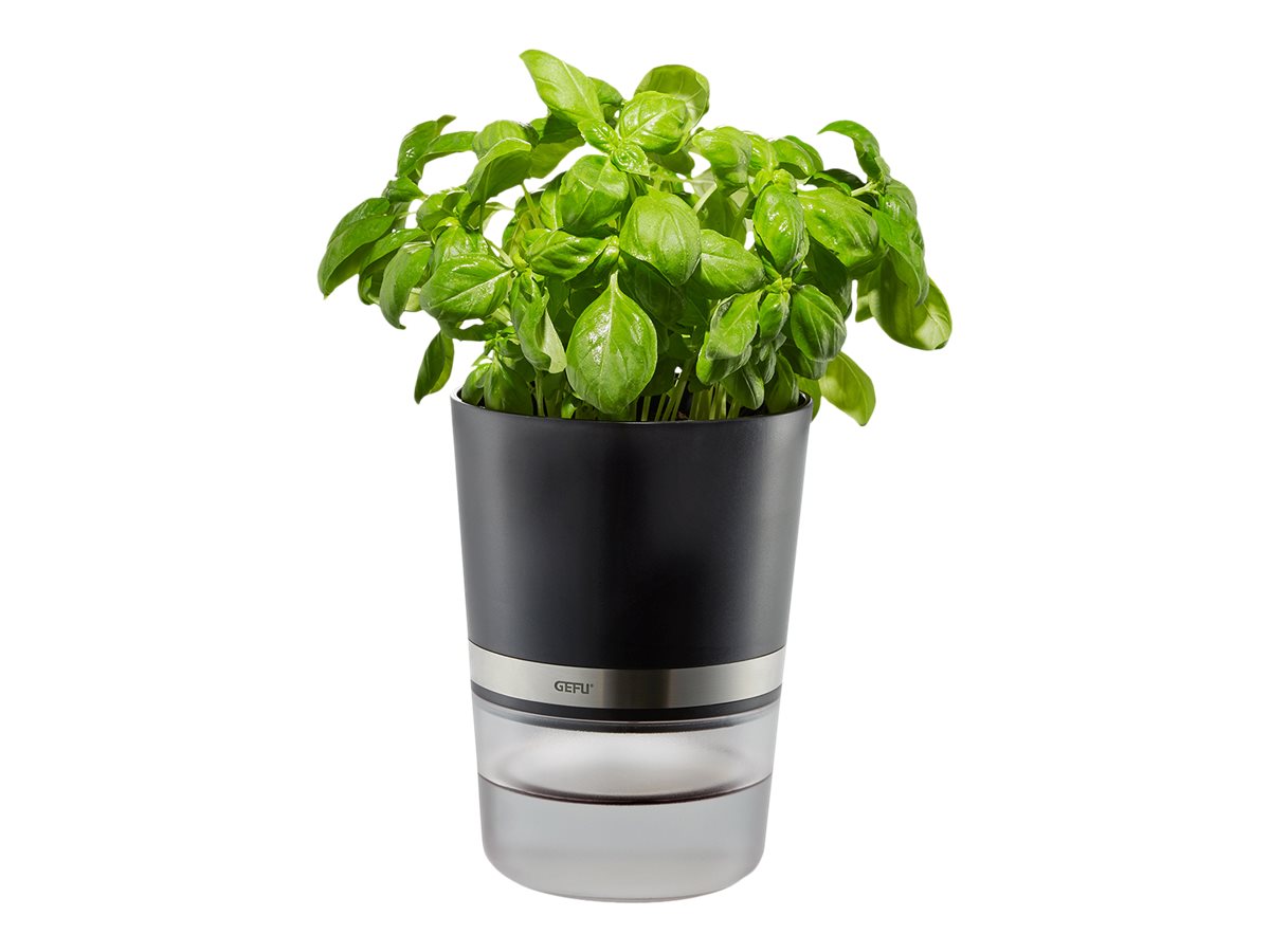 GEFU BOTANICO Smart plantepotte Sort Transparent