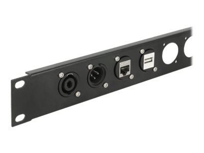 Delock D-Type Module USB 2.0 Type-A female to female Sort