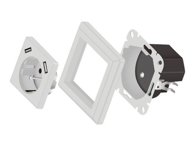 Delock - strømsokkel-outlet - 1 gang - 1 strømsokkel, 2 USB-sokler - hvid