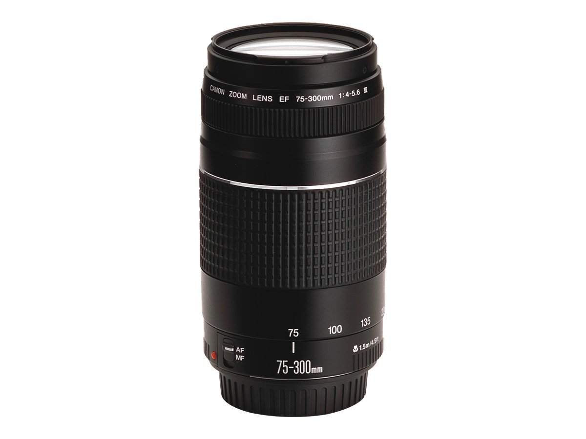 Canon EF - Telefoto zoom objektiv - 75 mm - 300 mm - f/4.0-5.6 III - Canon EF - for EOS 1000, 1D, 50, 500, 5D, 7D, Kiss F, Kiss X2, Kiss X3, Rebel T1i, Rebel XS, Rebel XSi