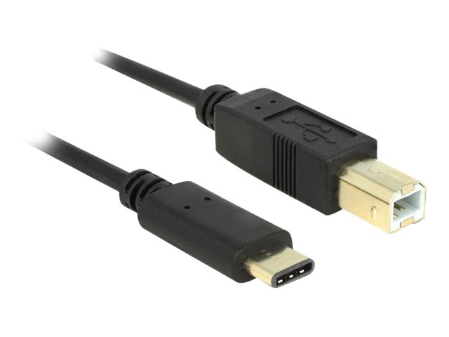 Delock - USB-kabel - USB-C (han) til USB Type B (han) - USB 2.0 - 3 A - 2 m - sort