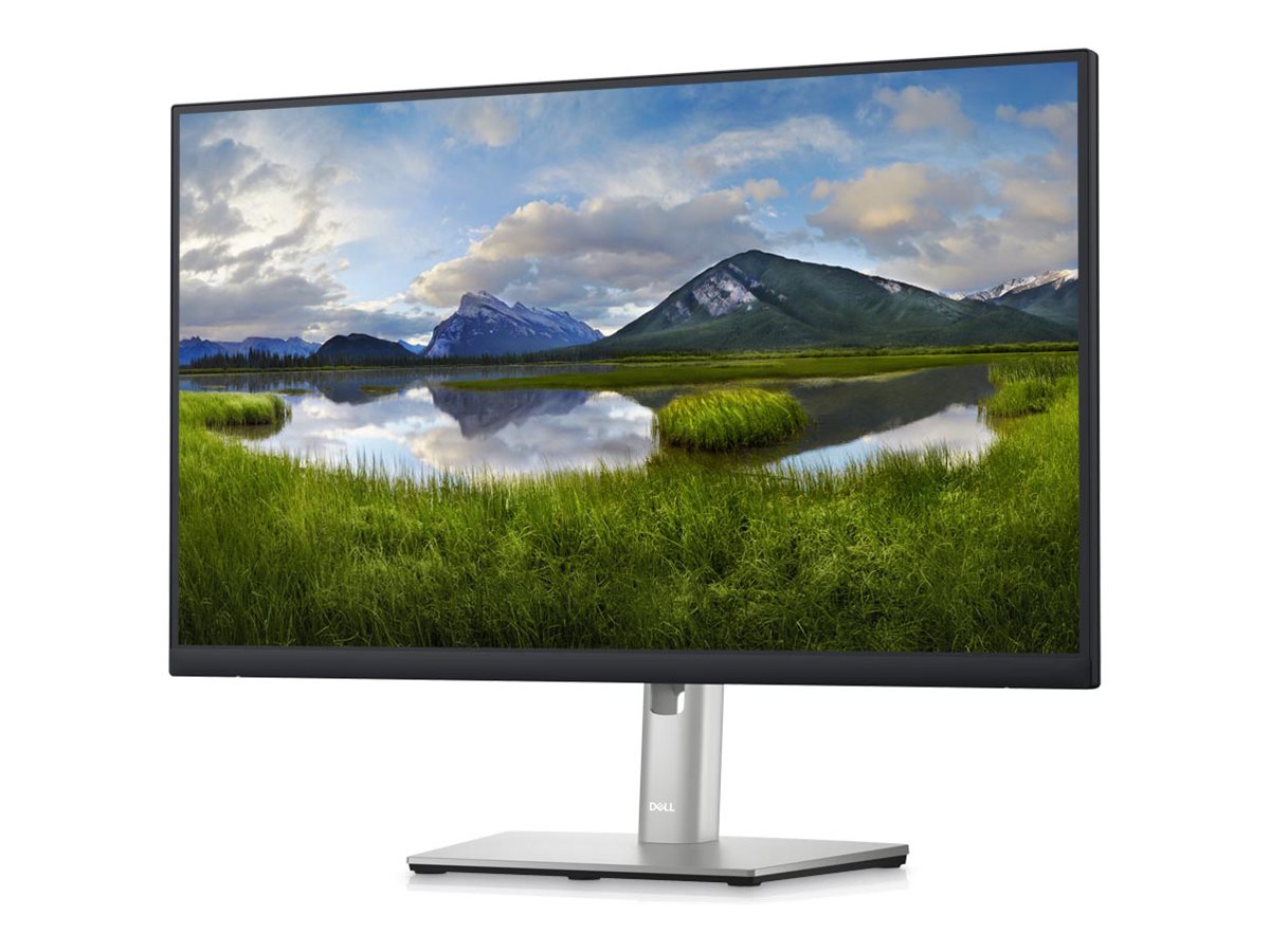 Dell P2423DE 24" IPS 2560 x 1440 (2K) HDMI DisplayPort USB-C 60Hz